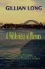 A Wilderness of Mirrors