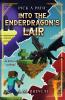Into the Enderdragon's Lair