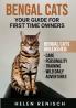 Bengal Cats your Guide for First Time Owners