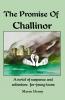 The Promise Of Challinor