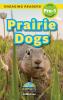 Prairie Dogs