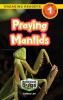 Praying Mantids