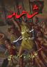 Shahnameh Vol.1 of 3