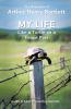 My Life like a Turtle on a Fence Post