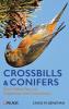 Crossbills and Conifers