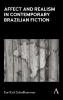 Affect and Realism in Contemporary Brazilian Fiction