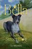 Bella the journey of A Blind Street Dog