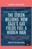 The Stolen Billions