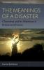 The Meanings of Disaster
