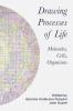 Drawing Processes of Life