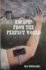 Escape from the Perfect World