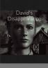 David's Disappearance
