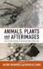 Animals Plants and Afterimages