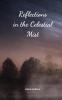 Reflections in the Celestial Mist