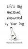 Life's Big Questions Answered by Your Dog