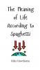 The Meaning of Life According to Spaghetti