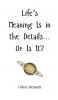 Life's Meaning Is in the Details... Or Is It?