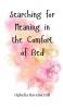 Searching for Meaning in the Comfort of Bed