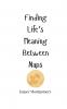 Finding Life's Meaning Between Naps
