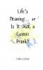 Life's Meaning... or Is It Just a Cosmic Prank?