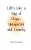 Life's Like a Bag of Chips-Unexpected and Crunchy