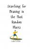 Searching for Meaning in the Most Random Places