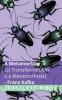 A Metamorfose / La Metamorfosis