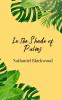 In the Shade of Palms