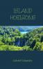 Island Horizons