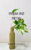 Pothos and Poetry
