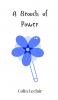 A Brooch of Power