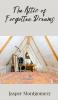 The Attic of Forgotten Dreams