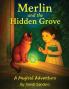 Merlin And The Hidden Grove