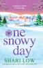 One Snowy Day
