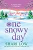 One Snowy Day