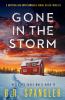 Gone in the Storm