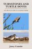 Turnstones and Turtle Doves