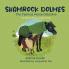 Shamrock Dolmes The Famous Horse Detective