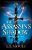 The Assassin's Shadow