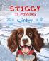 Stiggy is Missing - Winter