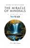 The Miracle of Minerals