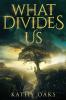 What Divides Us