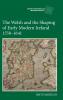 The Welsh and the Shaping of Early Modern Ireland 1558-1641