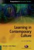 Learning in Contemporary Culture
