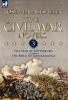 The Civil War Novels