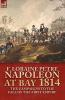 Napoleon at Bay 1814