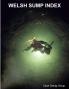 Welsh Sump Index