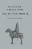 PRINCE OF WALES'S OWN THE SCINDE HORSE