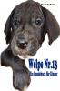 Welpe Nr. 13 - ein Hundebuch f��r Kinder