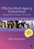 Effective Multi-Agency Partnerships